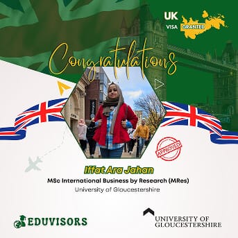 visa-success-11