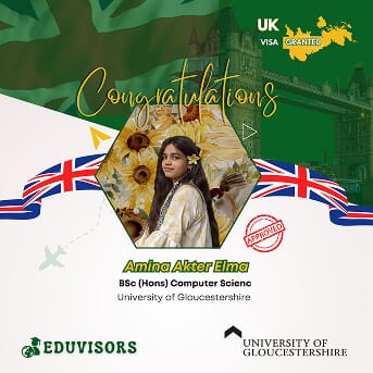 visa-success-13