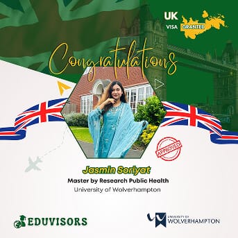 visa-success-4